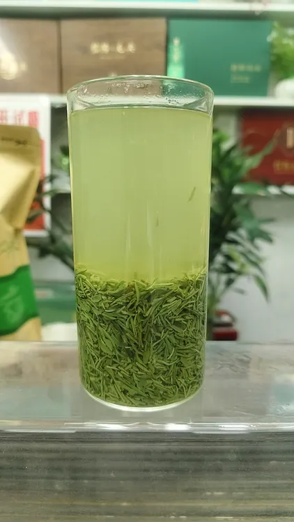 2025年信阳毛尖绿茶（A9）新茶明前断芽 回甘醇厚250g500g