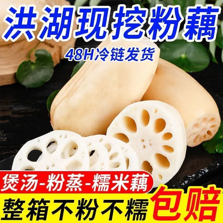 【湖北特产】正宗洪湖粉藕新鲜带泥莲藕当季蔬菜煲汤清甜整箱批发