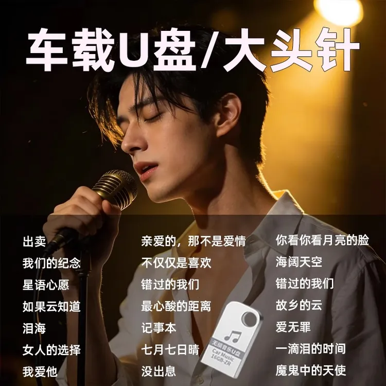 大头针专辑歌曲精选车载U盘抖音网红Ai翻唱2025伤感流行热门U盘