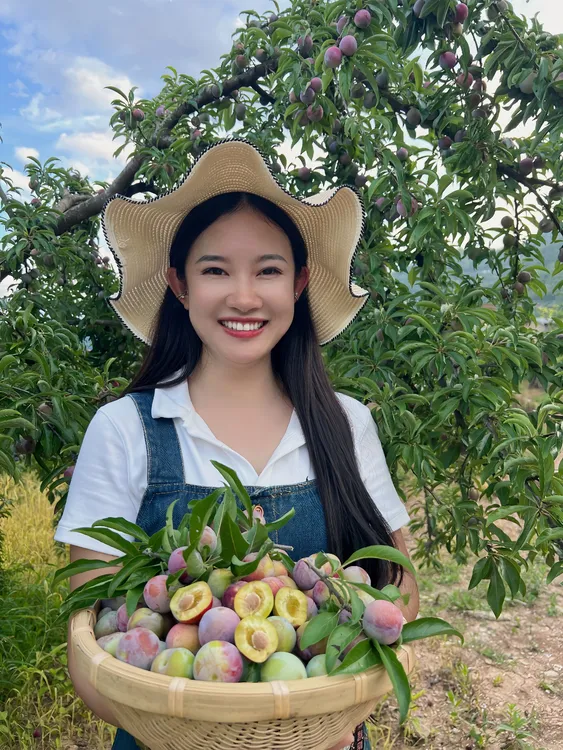 旬阳仙河王坪脱骨脆红李【村花珊珊】专属