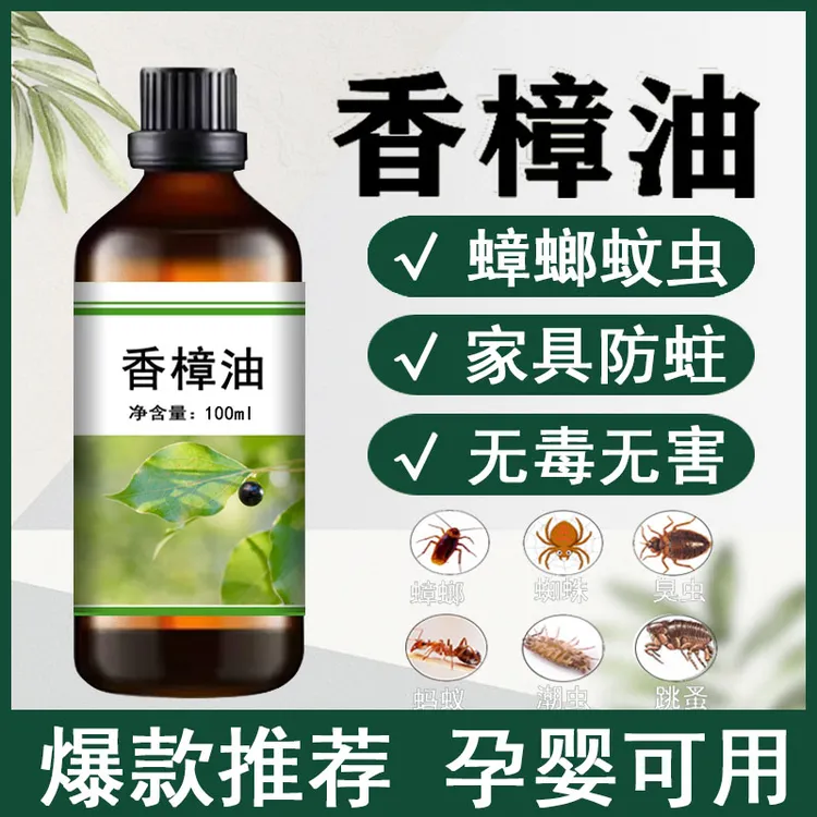 香樟油按摩精油身体肩颈护理刮痧开背润肤轻盈推背草本萃取美容院