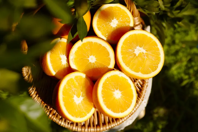 正宗辰溪沙堆村脐橙果园直发新鲜水果产地现摘手剥清甜多汁橙子