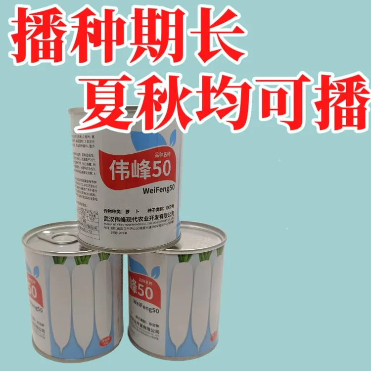 夏秋专用50天早熟耐热板叶白萝卜种籽捷夏美50 南方可种萝卜种子