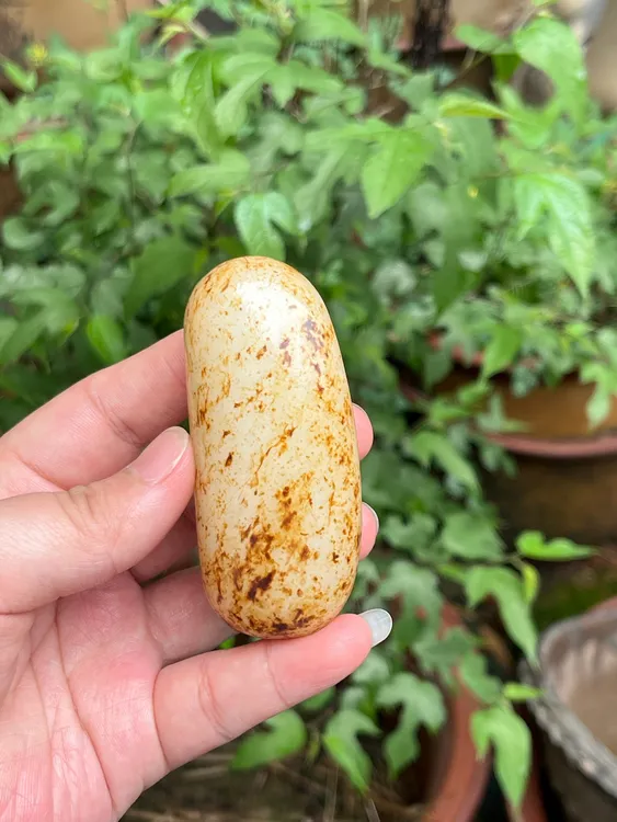 【底价已开价】136克和田玉秋梨皮手把件图文045