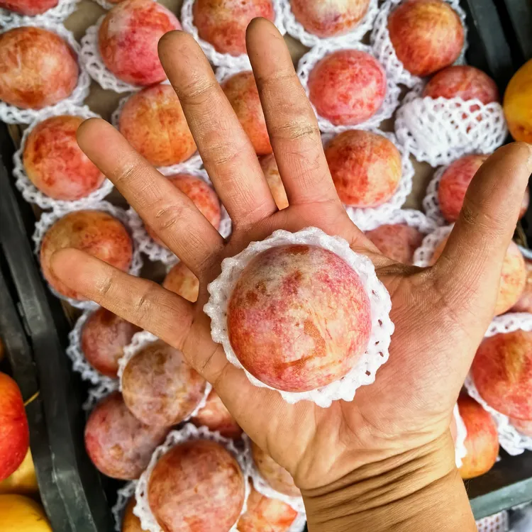 【顺丰空运】新疆恐龙蛋李子，酸甜可口，新鲜应季，大红果肉，风味十足