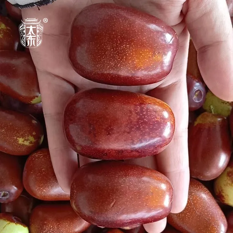 【顺丰京东直发】山西特产壶瓶枣冬枣鲜枣个大饱满鲜嫩现摘现发