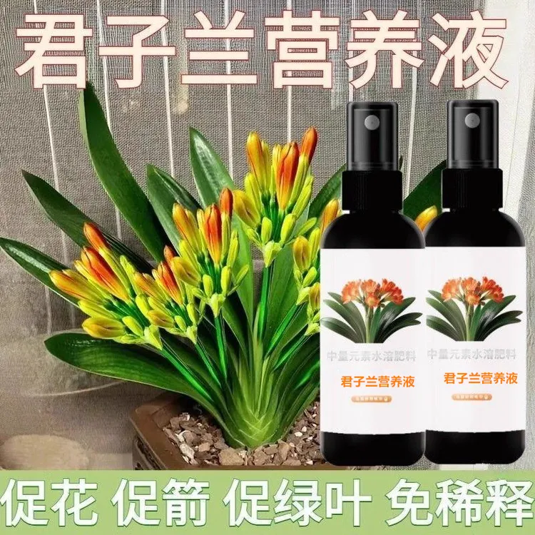 【拍一发三瓶】君子兰营养肥料促箭剂催开花盆栽花卉通用营养肥料商品图