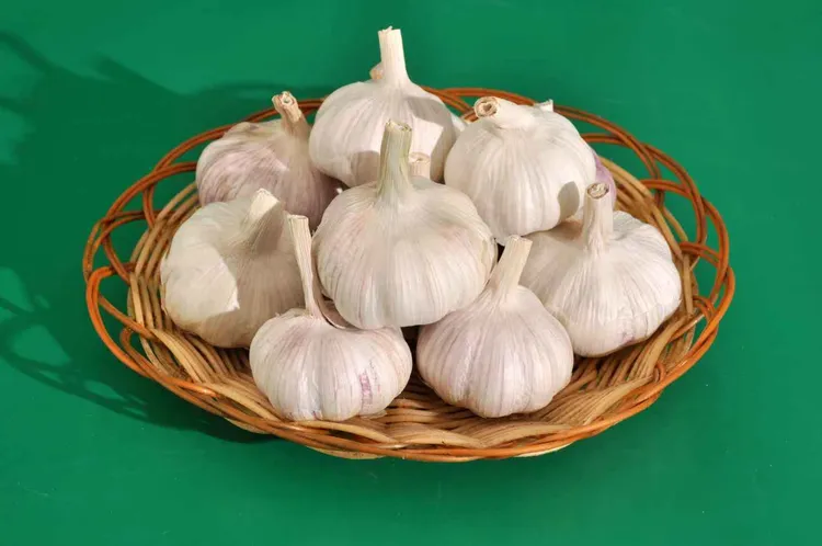 【出口级新干蒜】5斤大蒜头新鲜紫白皮蒜可种农家蒜大蒜2斤3斤9斤