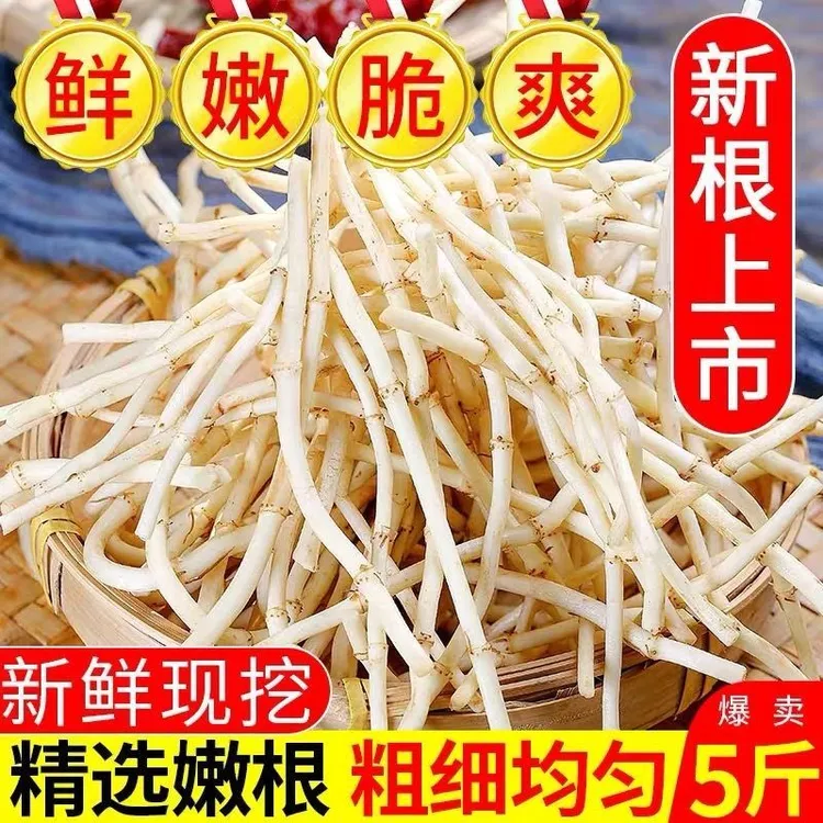 新鲜现挖鱼腥草折耳根嫩根可凉拌的当季蔬菜