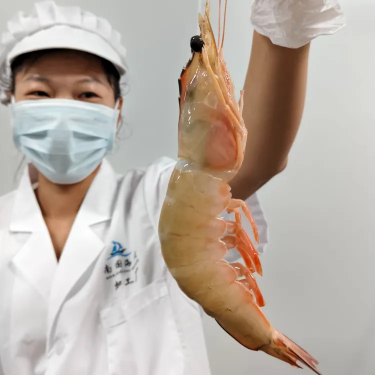 南国海贡天然大明虾