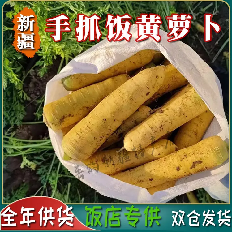 新疆黄萝卜新鲜胡萝卜抓饭专用饭店大客户产地直发应季蔬菜