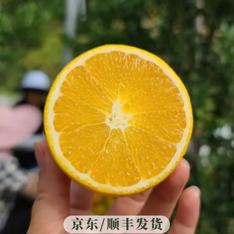 【王品】江西赣南脐橙5斤装 单果（70mm~85mm）
