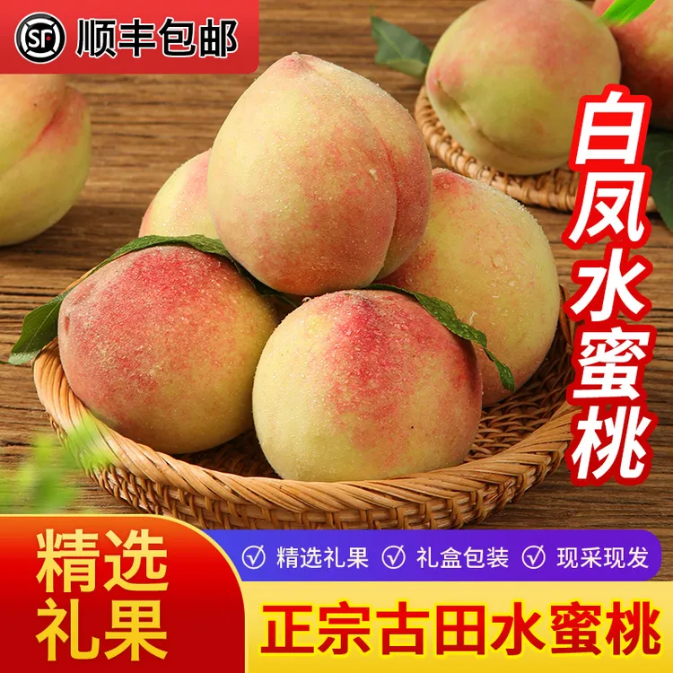 【顺丰包邮】正宗福建古田白凤桃水蜜桃子脆甜香10斤礼盒装达