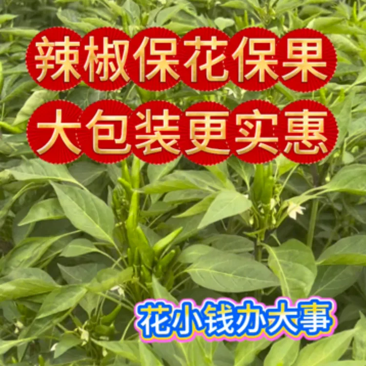 辣椒保花保果（一套10桶水）