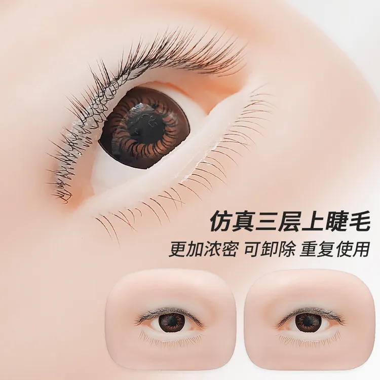 三层练习模特头5D仿真假睫毛模块美睫培训新手可多次使用左右眼
