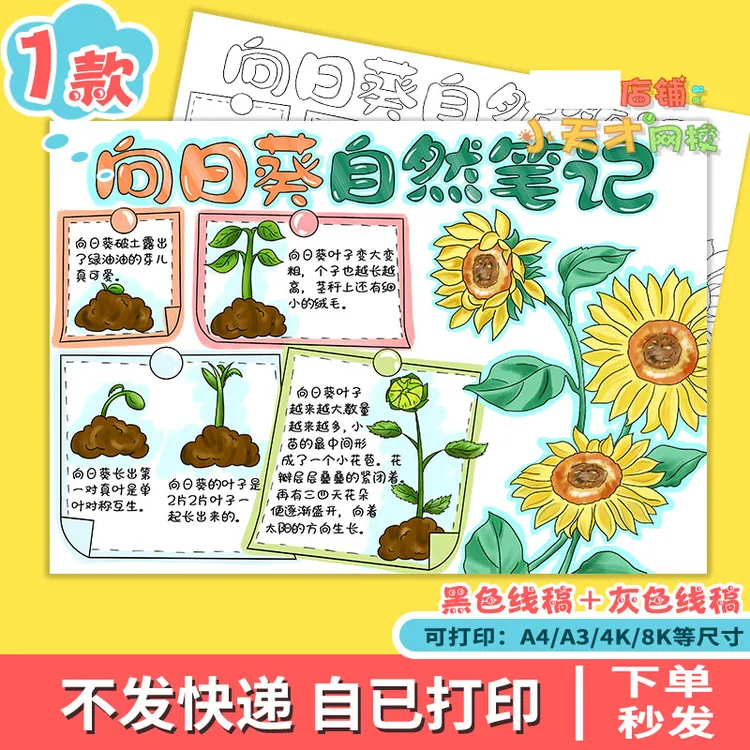 向日葵自然笔记手抄报电子模板小学生观察植物生长记录日记t792