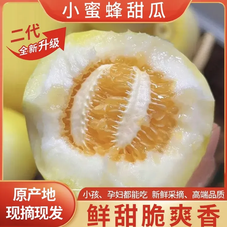 【新鲜采摘】山东小蜜蜂甜瓜早甜脆小蜜罐甜瓜新鲜水果香甜多汁