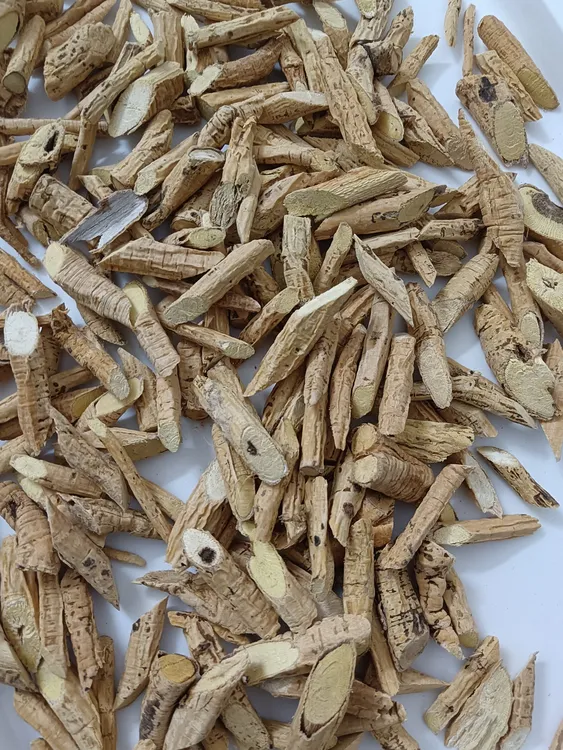 野生老黄牛根切段