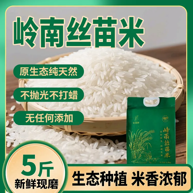 【25年新米】广东岭南丝苗米新米猫牙长粒香米大米真空包装5斤装