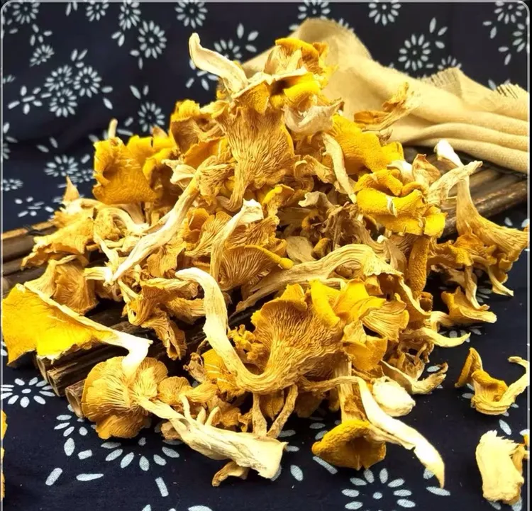 野生榆黄蘑(一斤)包邮