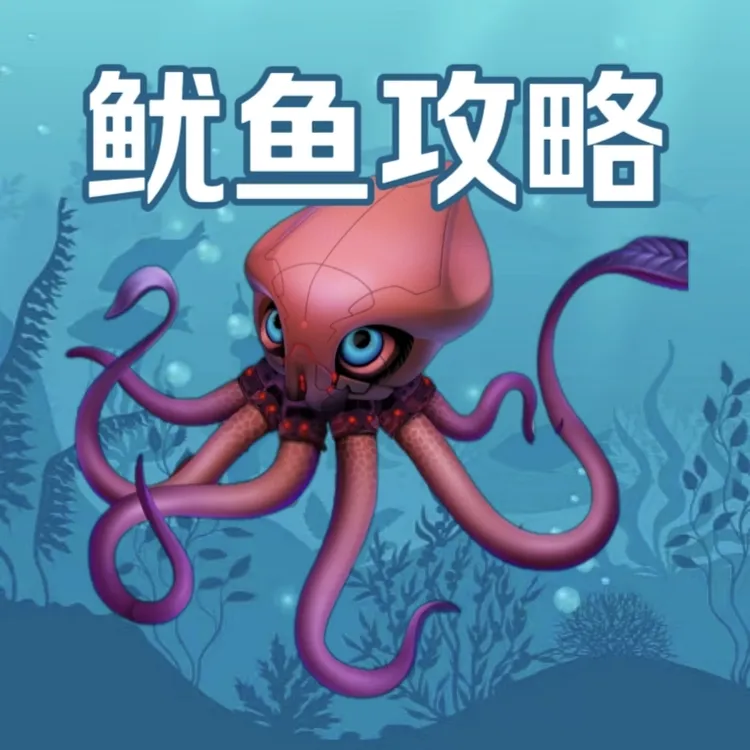 德扑鱿鱼玩法攻略视频课程