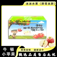 【原箱】[Y]牛顿小苹果 箱/4斤左右 仅限太原晋中吕梁忻州可拍