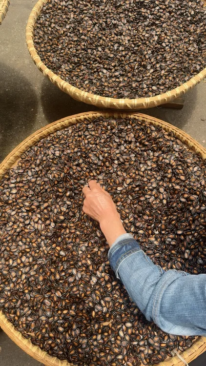 水煮西瓜子永新特色特产零售