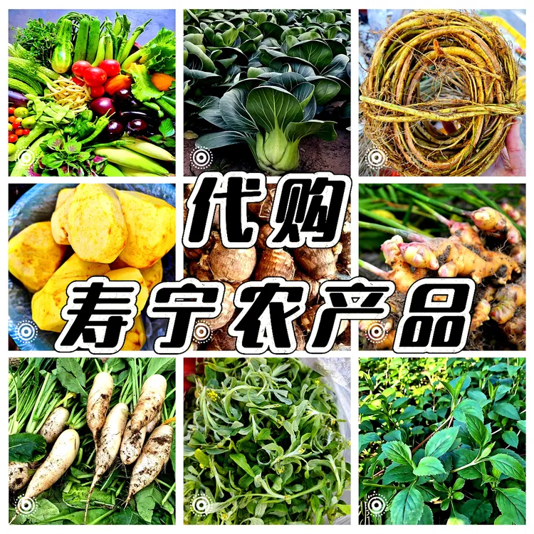 【寿宁农产品】云上乡愁 寿宁味道