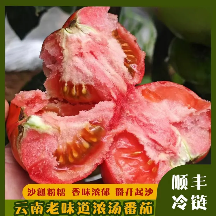 【顺丰】春一番云南老味道浓汤番茄肉厚多汁酸甜美味产地现摘现发