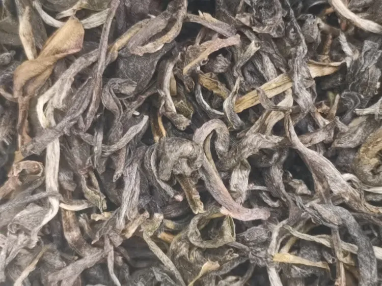 云南大朝山邦东老树烘青散茶手工茶，口感醇厚甘甜-散装茶叶