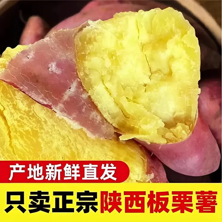 【2025年新鲜现挖】陕西板栗红薯地瓜番薯农家自种非蜜薯小香薯