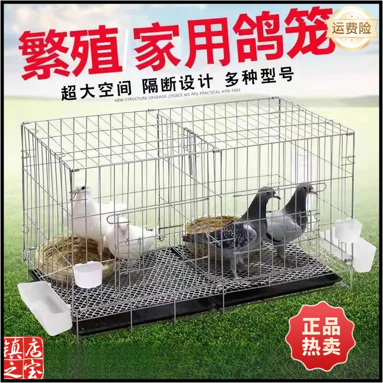 鸽子笼养殖家用专用笼鸽子笼鸽子笼家用带隔断繁殖养殖大号鸽笼子