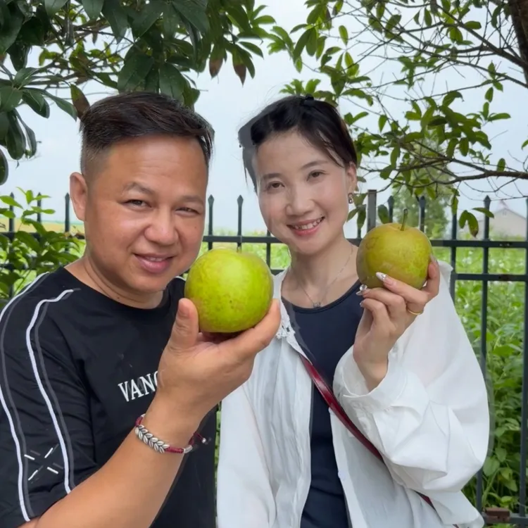 正宗百里洲沙梨现摘翠冠梨脆嫩无渣多汁鲜甜爽口