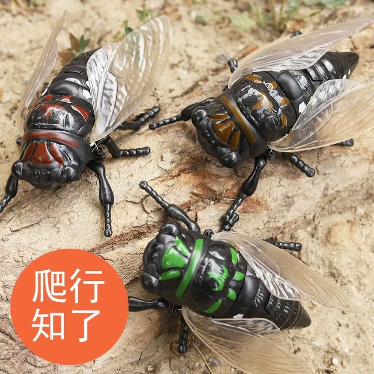 新款知了仿真爬行动物发条昆虫创意上弦发条玩具玩具金蝉小模型
