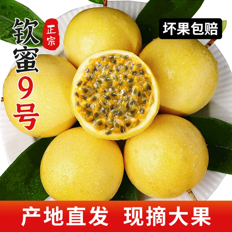 正宗钦蜜9号黄金百香果香甜新鲜现摘皱皮香甜百香果黄金果tz