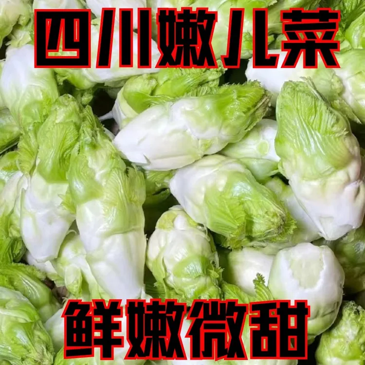 四川新鲜儿菜娃娃菜时令应季蔬菜农家抱儿菜整箱批发包邮胞子芥