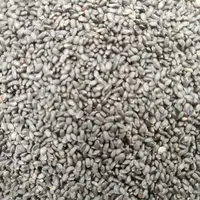 小雅山货推荐【兰~香~子】特产推荐