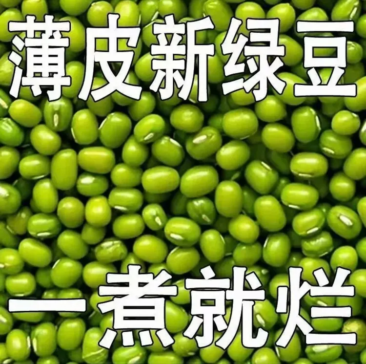新货生绿豆颗粒饱满可煲汤煮粥消暑的营养绿豆汤食材