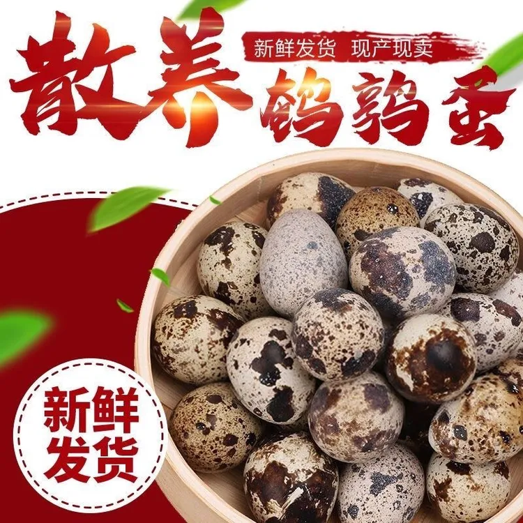 当天新鲜鹌鹑蛋50枚一箱颗颗甄选现产现发升级珍珠棉包装
