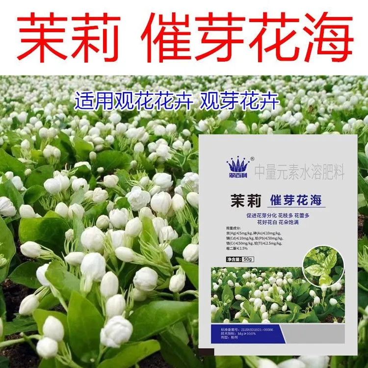 正品茉莉催芽花海强力催芽催花花大花白花柄长花多多横县基地专用