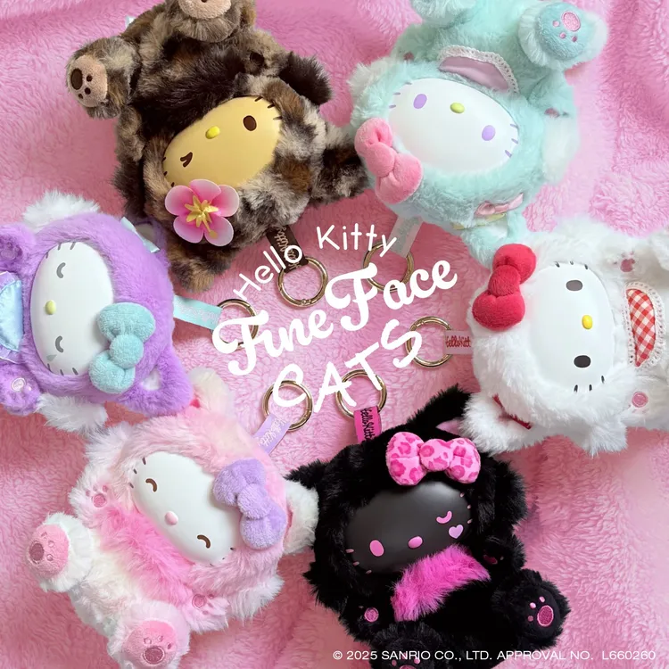 Kitty合集～日版正品饭团寿司豹纹制服三丽鸥毛绒挂件玩偶镜子