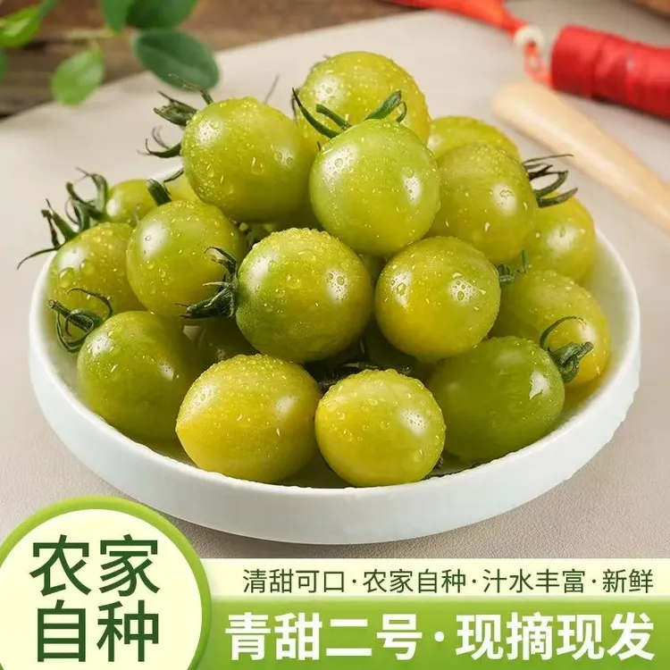 山东小番茄新鲜现摘现发小柿子酸甜多汁水果