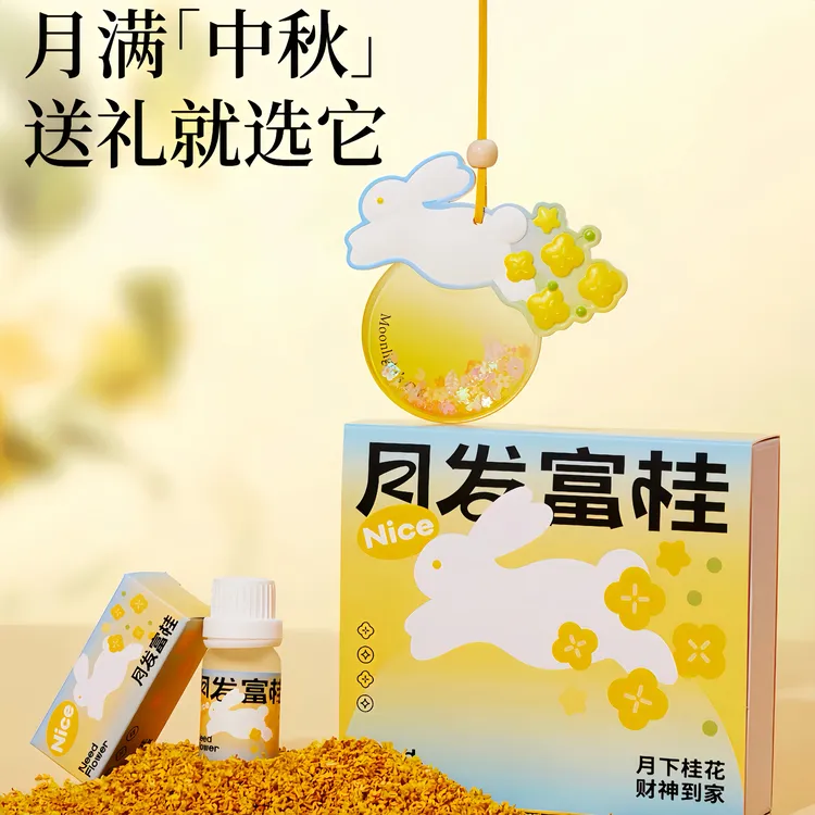 「雨花洛」中秋节礼物礼品车载衣柜香薰礼盒送女生闺蜜高端实用挂件