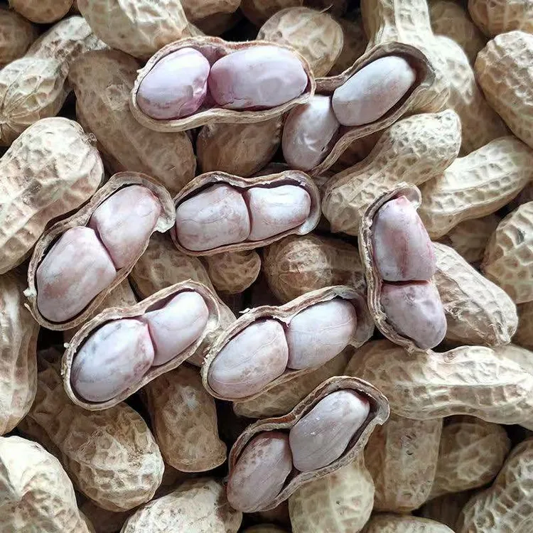 【云姐优选】水煮白晒咸干带壳熟花生休闲零食配茶