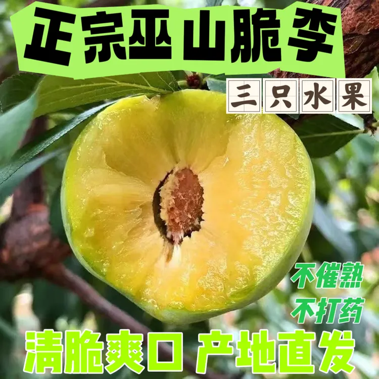 巫山脆李脱骨李新鲜应季水果脆甜多汁