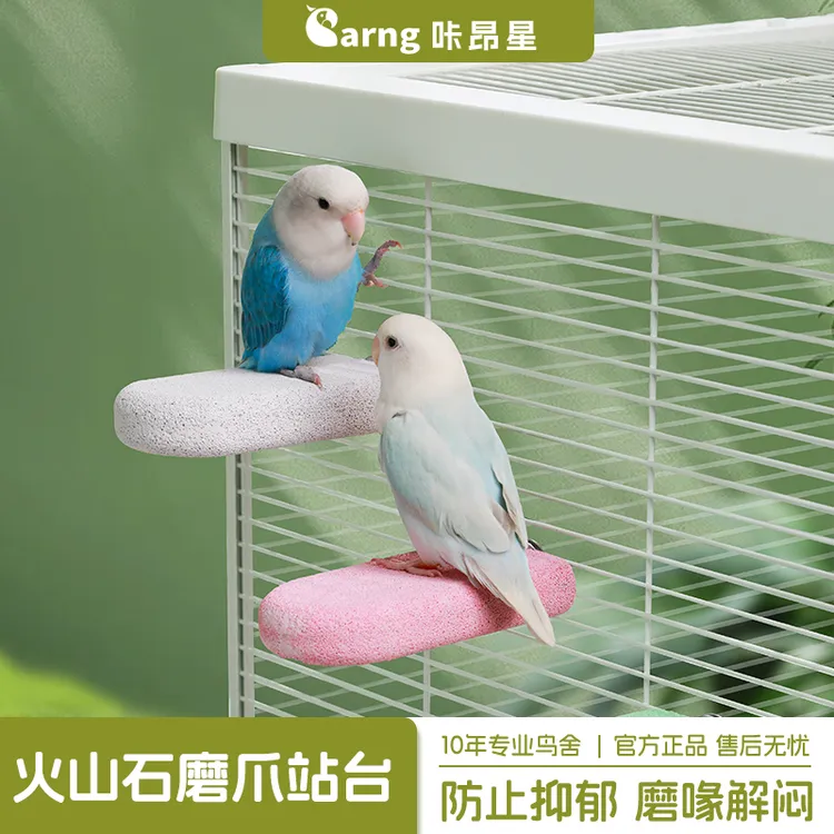 咔昂星鹦鹉雪糕站台站板磨爪牡丹虎皮解闷互动鸟笼配件鹦鹉宠物