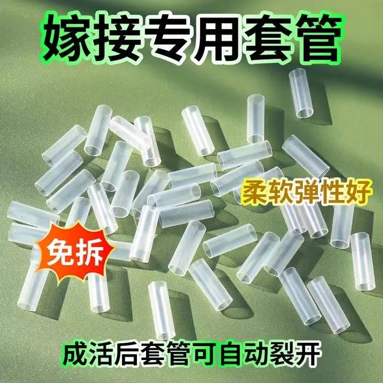 嫁接果树苗嫁接套管植物树干树枝蟹爪兰花卉绿植黄瓜西瓜嫁接小苗