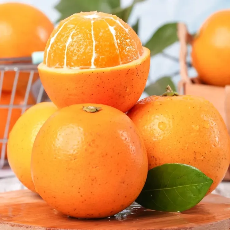 【果园直发】湖南麻阳冰糖橙 香甜可口 应季新鲜水果橙子坏果包赔