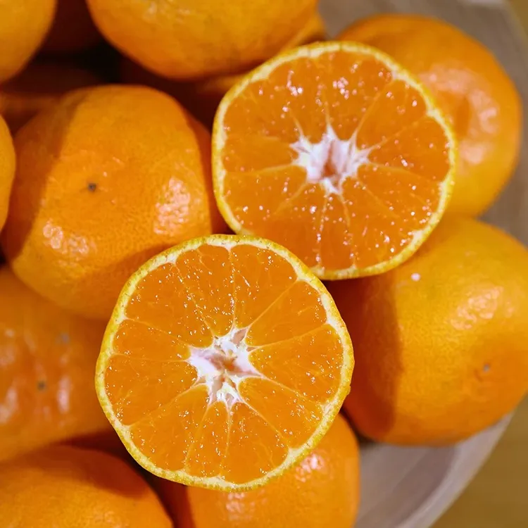 【正宗临海涌泉蜜桔】正宗临海涌泉蜜桔当季水果新鲜甜桔子无核蜜橘