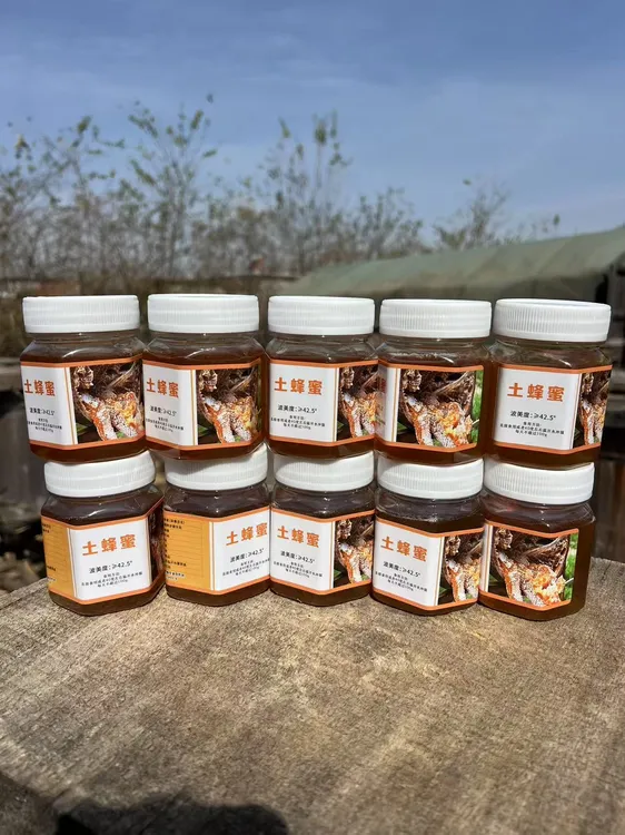 木桶土蜂蜜10瓶采集沂蒙山百花 DD